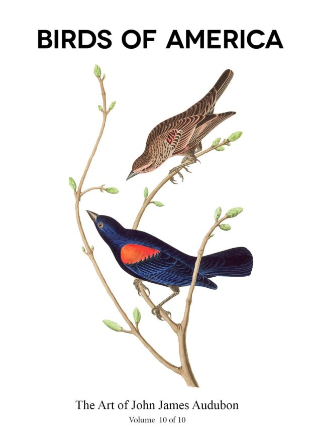 The Birds of America – John James Audubon – Volume 10 of 10