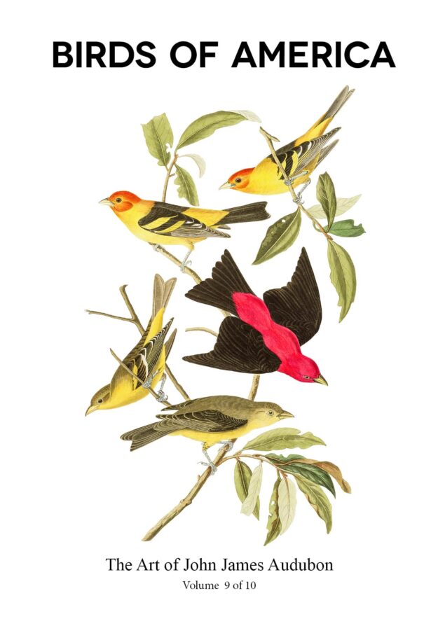 The Birds of America – John James Audubon – Volume 9 of 10