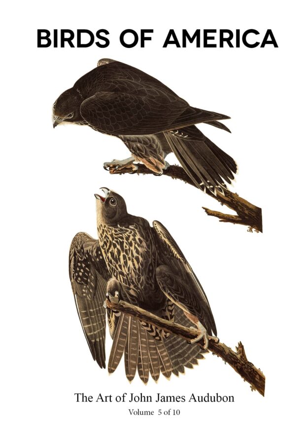 The Birds of America – John James Audubon – Volume 5 of 10