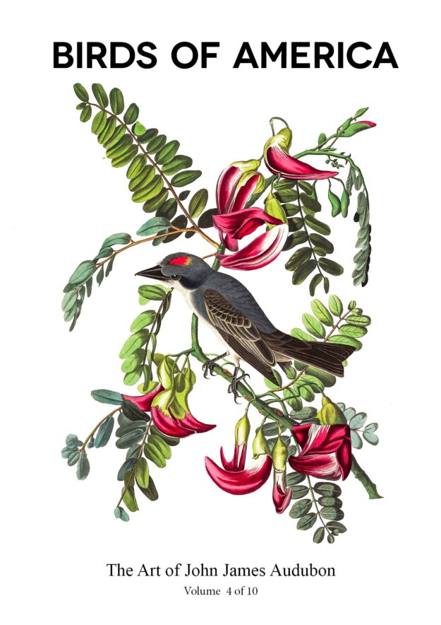 The Birds of America – John James Audubon – Volume 4 of 10