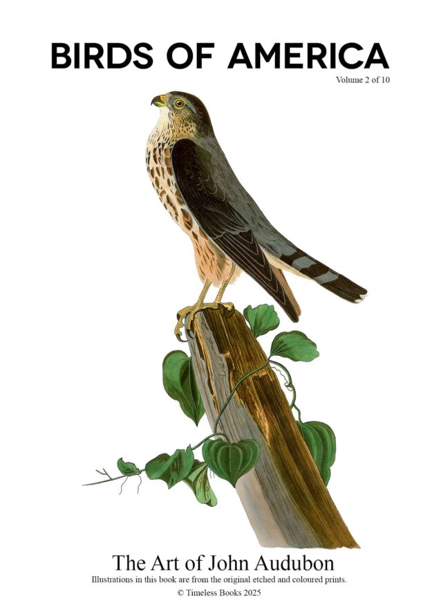The Birds of America – John James Audubon – Volume 2 of 10