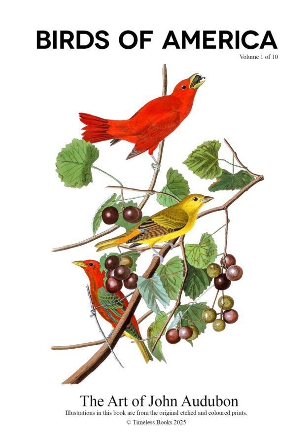 The Birds of America – John James Audubon – Volume 1 of 10
